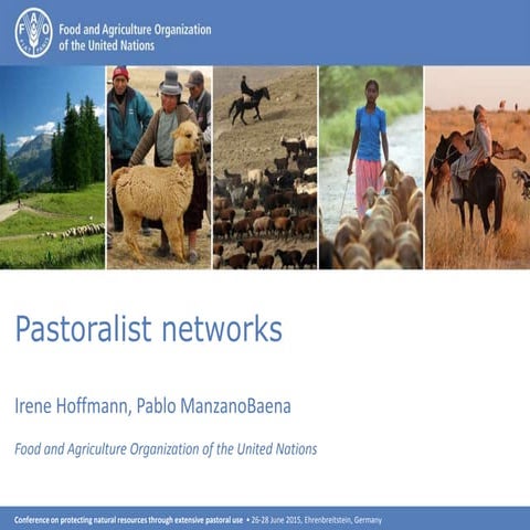 Participation of pastoralist networks in policy processes 
