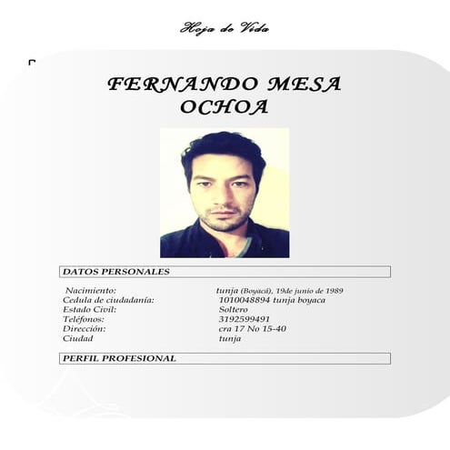 Hoja de vida. fernando mesa
