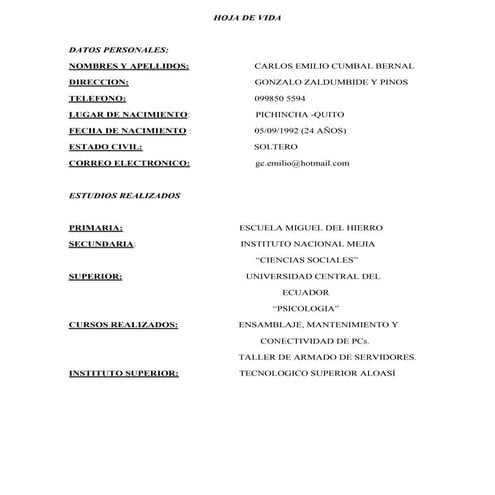 Hoja de vida2