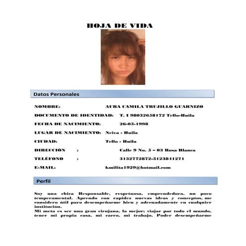 Hoja de vida aura camila