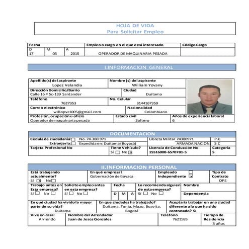 Hoja de vida informatica