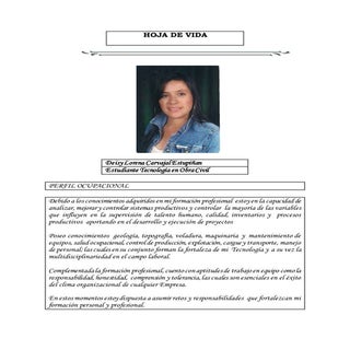 Hoja de vida lorena informatica