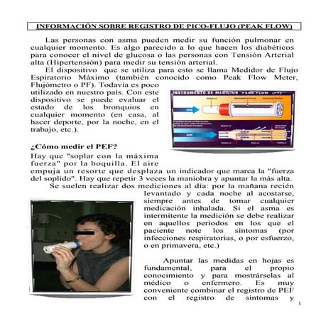 Hoja informativa de registro de pico flujo. Grupo educasma