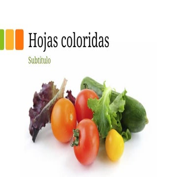 Hojas coloridas de las verduras  saludables