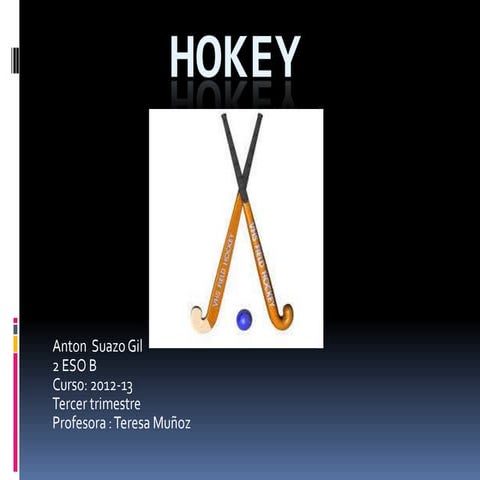 Hokey anton s. 2n b