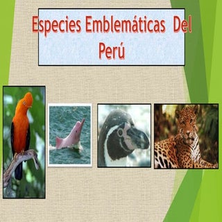 Especies emblematicas del Peu