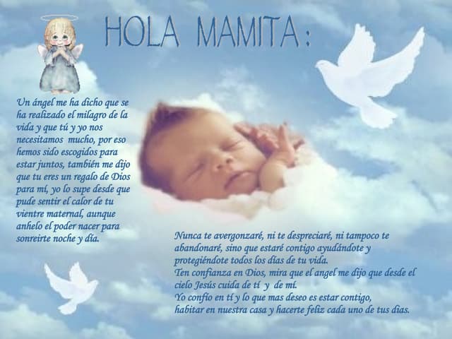 Holamamita