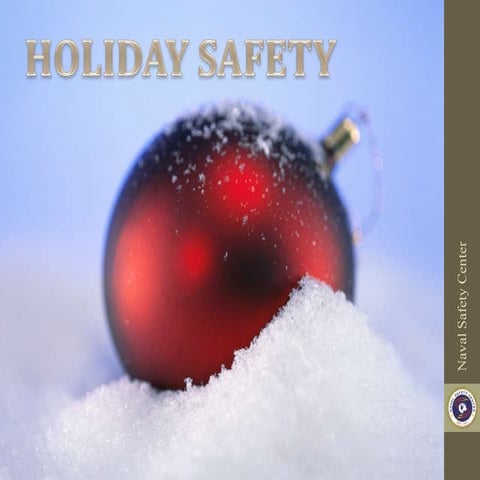 Holiday safety 2014