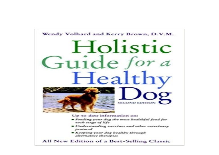 holistic guide for a healthy dog