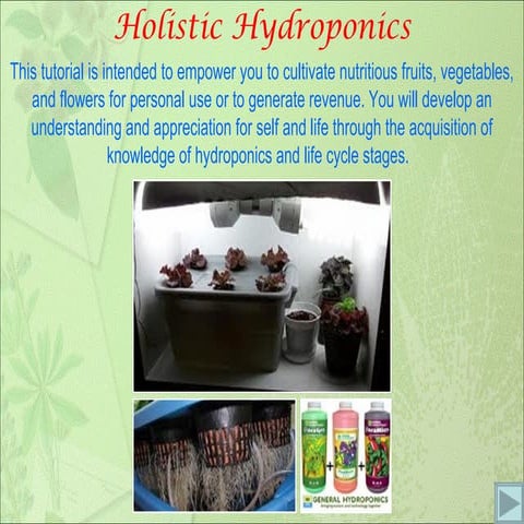 Holistic hydroponics