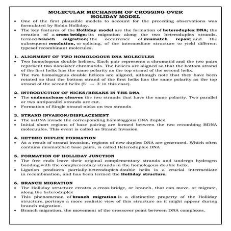 Holliday model of crossing over