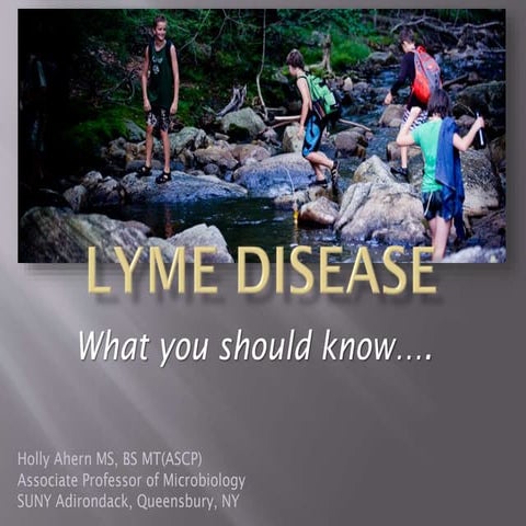 Holly Ahern - Lyme Disease: What You Should Know...