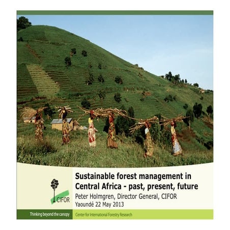 Sustainable forest management in Central Africa – past, present, future ...