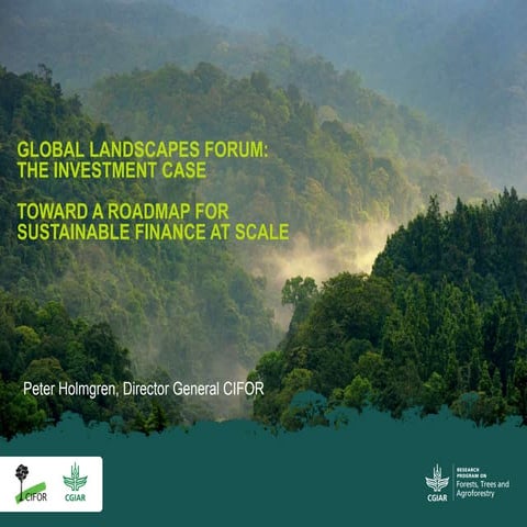 Global Landscapes Forum: The investment case. Toward a roadmap for sustainabl...