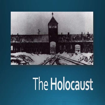 Holocaust ichistory