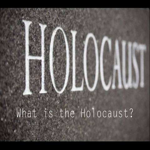 Individual Studies on the Holocaust 