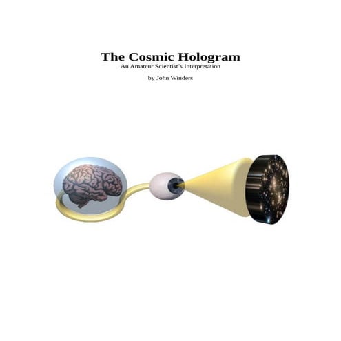 The Cosmic Hologram
