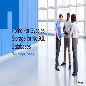 Home For Gypsies – Storage for NoSQL Databases​