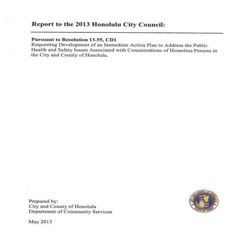 Homeless action plan 2013 | PDF
