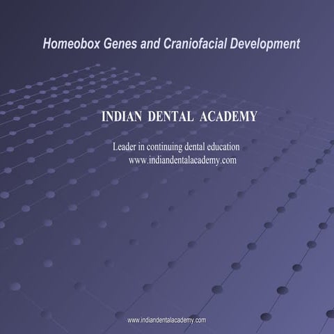 Homeobox genes /certified fixed orthodontic courses by Indian dental academy 