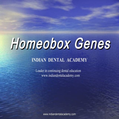 Homeobox genes (2) /certified fixed orthodontic courses by Indian dental acad...