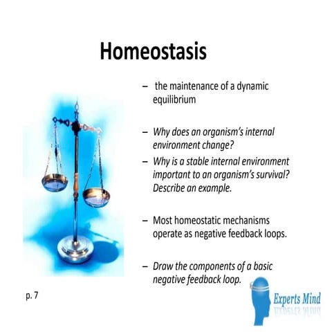 Homeostasis