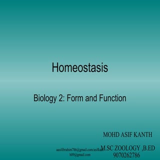Homeostasis