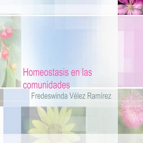 Homeostasis En Las Comunidades