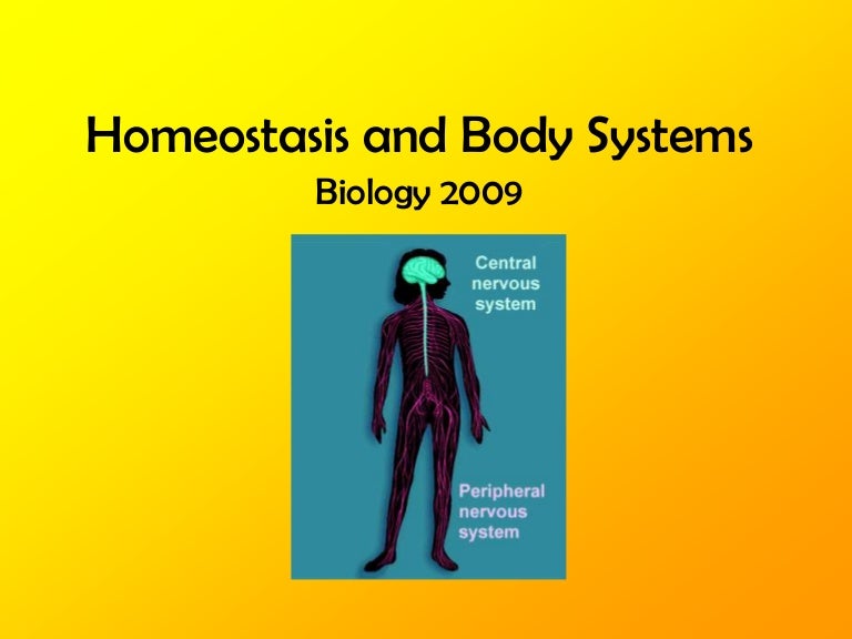 Homeostasis Body Sys 09