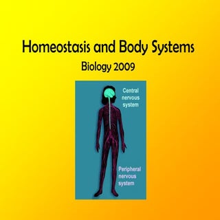 Homeostasis Body Sys 09