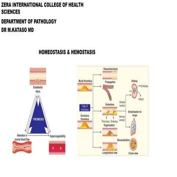 HOMEOSTASIS & HEMOSTASIS.pptx