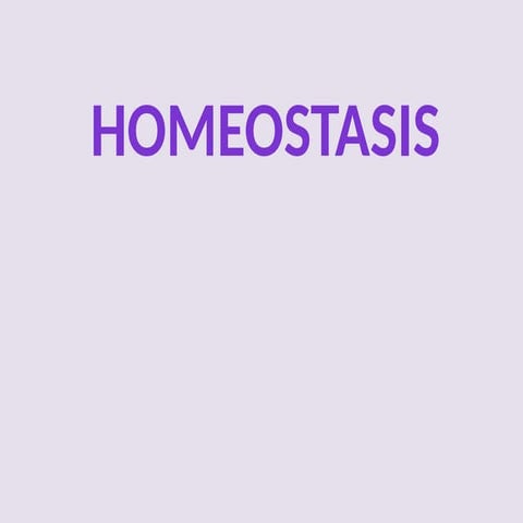 homeostasis of human body  lecture .pptx