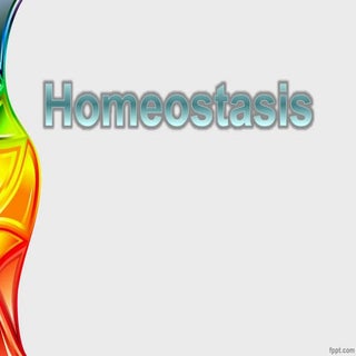 Homeostasispocha 130619132116-phpapp02