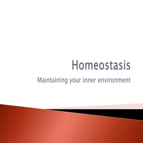 Homeostasis
