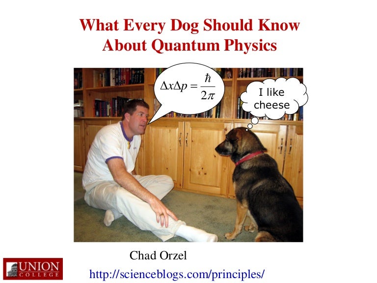 What Every Dog Should Know About Quantum Physics