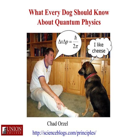What Every Dog Should Know About Quantum Physics