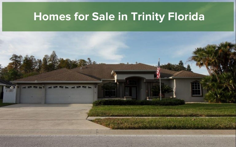 Homes For Sale In Trinity Florida
