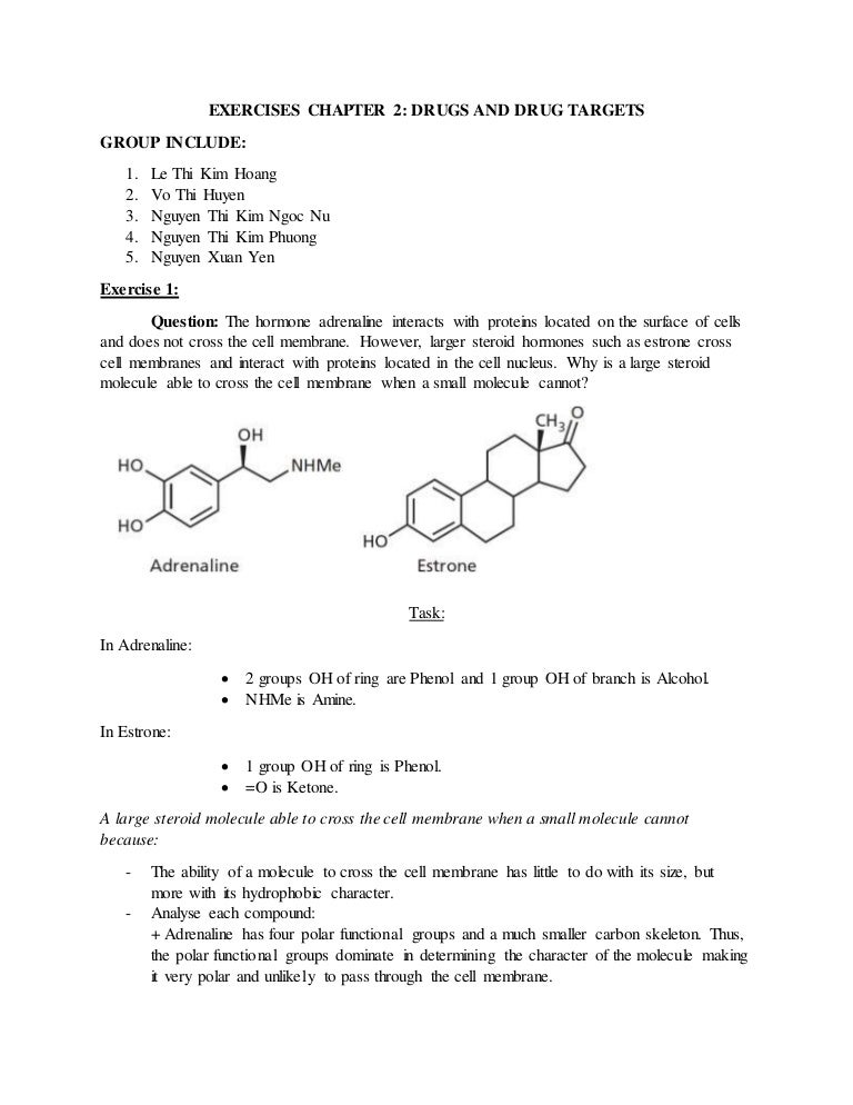 Lsd and homework 04 image