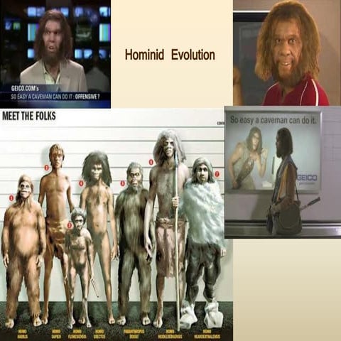 Hominid evolution part