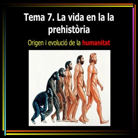 El procés d'hominització
