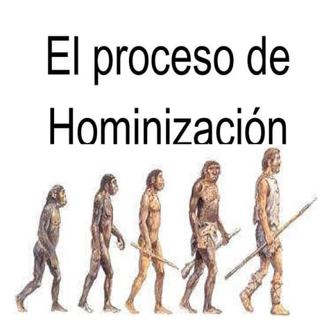 Evolución del ser humano