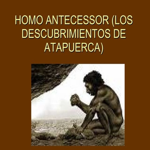 Homoantecessorlosdescubrimientosdeatapuerca 1211445556663503 9