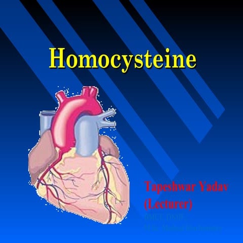 Homocysteine