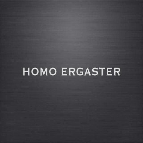 Homo ergaster