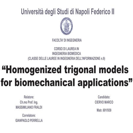 Homogenized trigonal models for biomechanical applications description copia