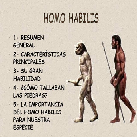 HOMO HABILIS-HABILIDOSO