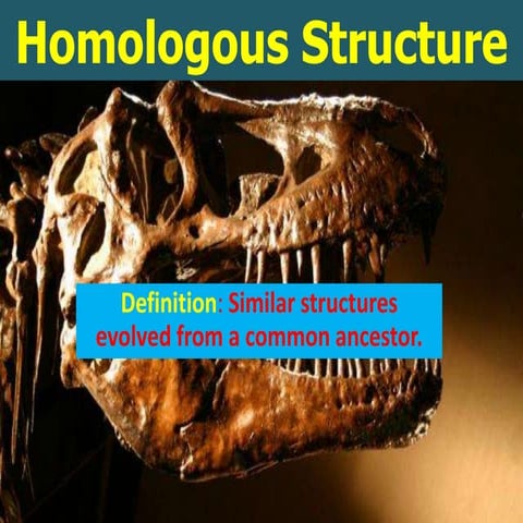 Ecology-Homologous structure