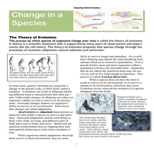 Homologous Structures