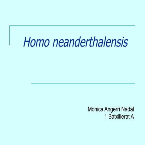 Homo neanderthalensis (A)