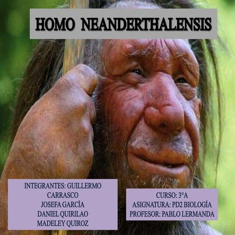 Homo neandertlahensis